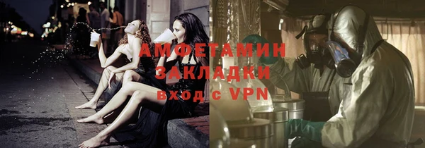 мдпв Инсар