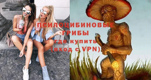 спайс Белокуриха