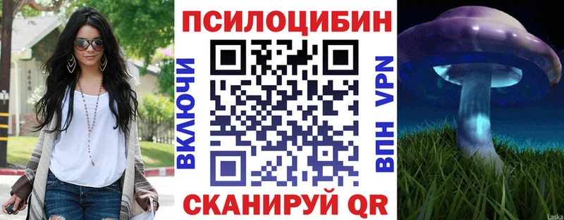 ссылка на мегу   Карасук  дарк нет какой сайт  Псилоцибиновые грибы Psilocybe 
